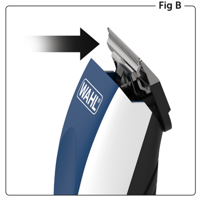 Fig. B