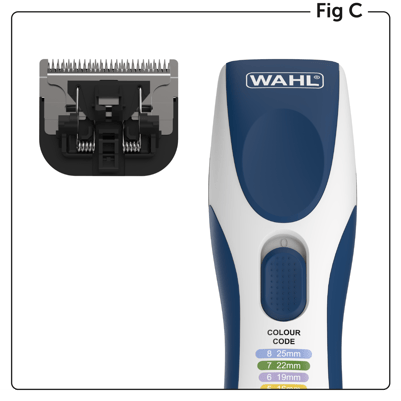 Fig. C